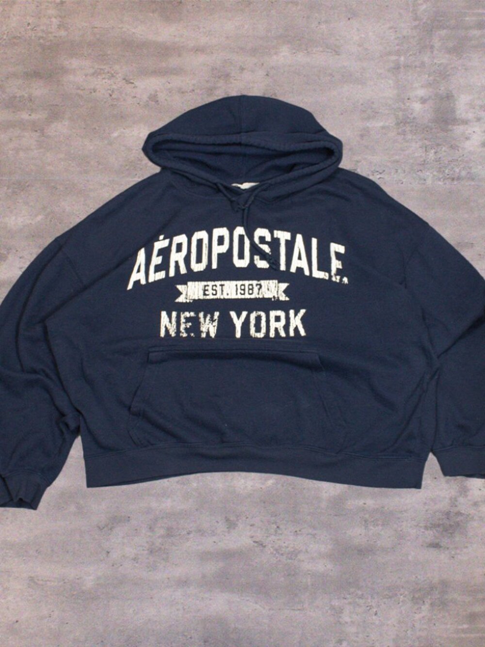 Y2K 00's Aeroposta New‎ York Mall Brand Oversize Streetwear Campus Style Hoodie